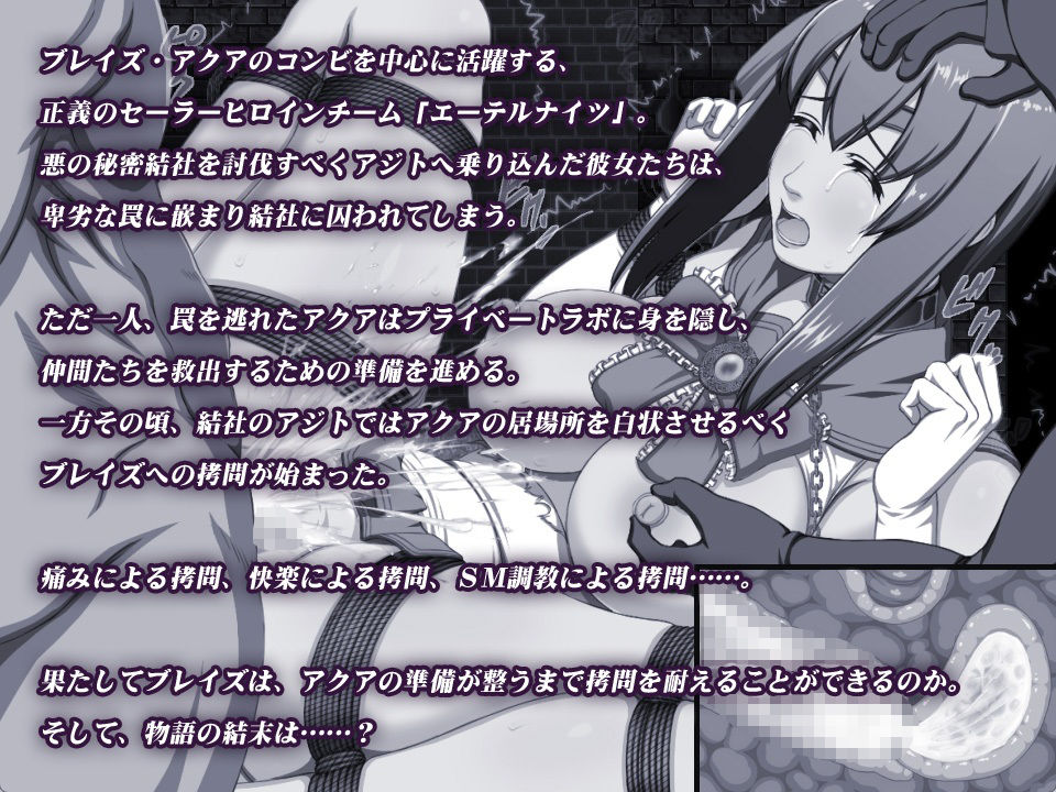 エーテルナイツ〜セーラーヒロイン凄絶拷問〜 画像1