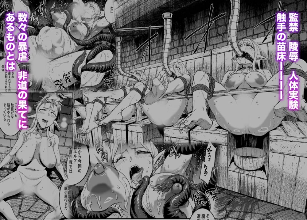ELVEN BIRTH 画像3