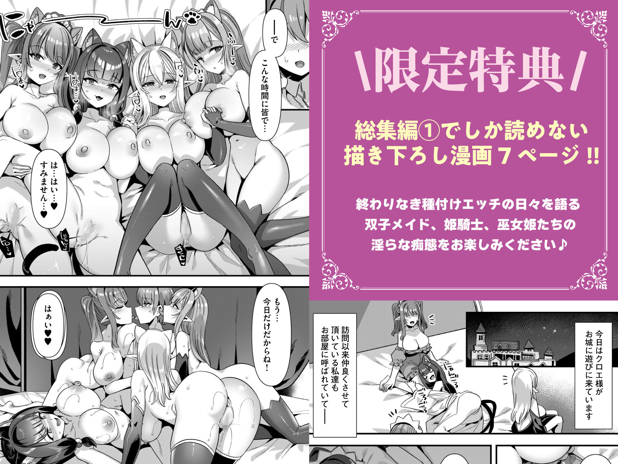 男が産まれない異世界へ召喚された俺がヒロインを充てがわれて子作りエッチ 総集編1 画像1