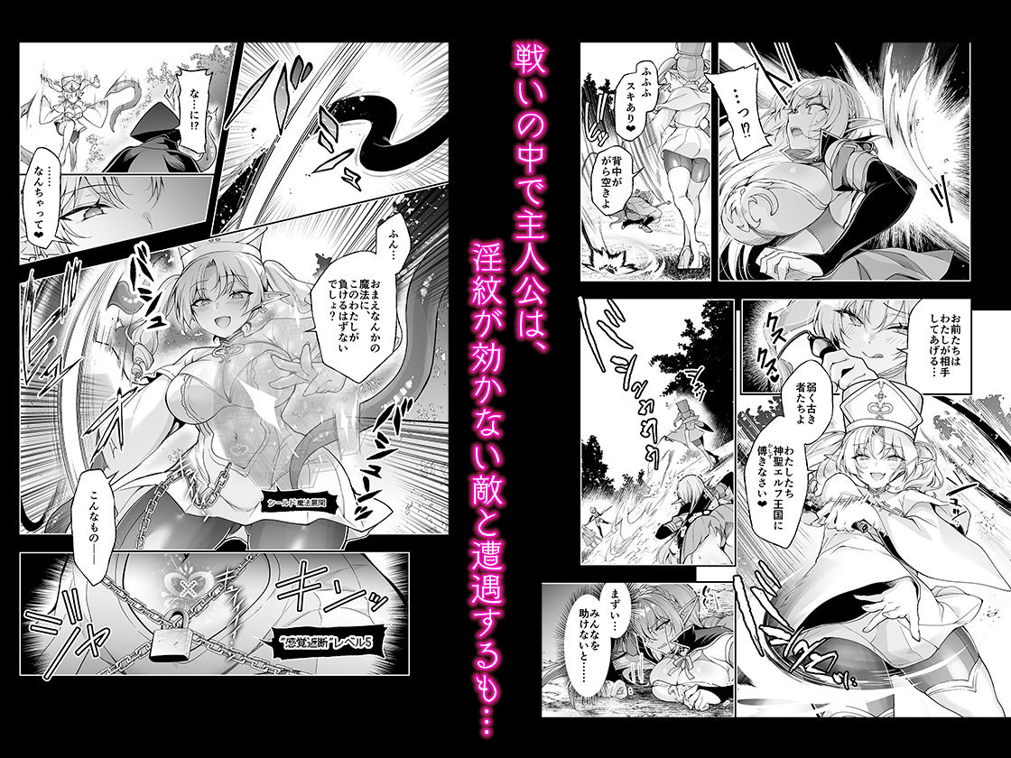 エルフに淫紋を付ける本 LEVEL:9 画像3