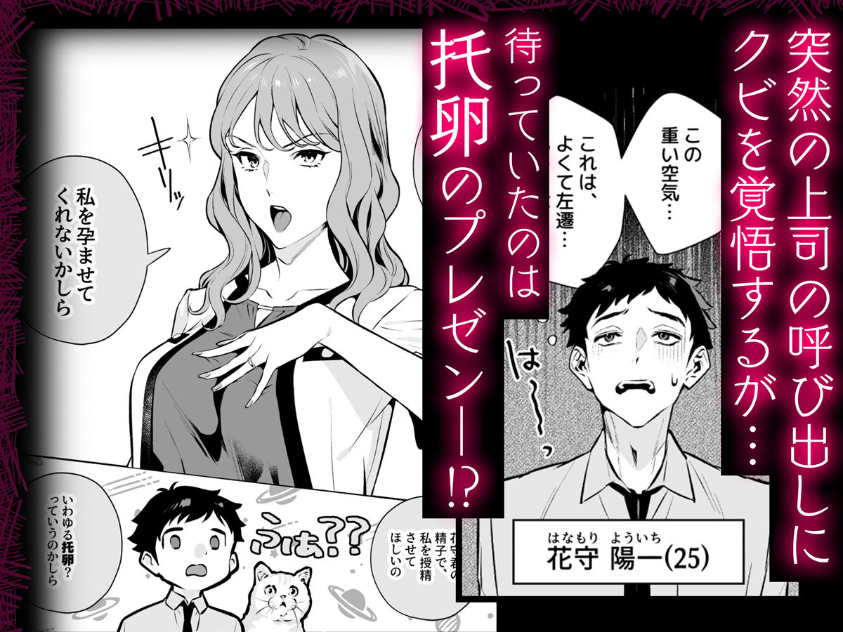 托卵契約 いつも真面目な美人上司(人妻)が、なぜか托卵を迫ってきたので遠慮なく孕ませたった。 画像2