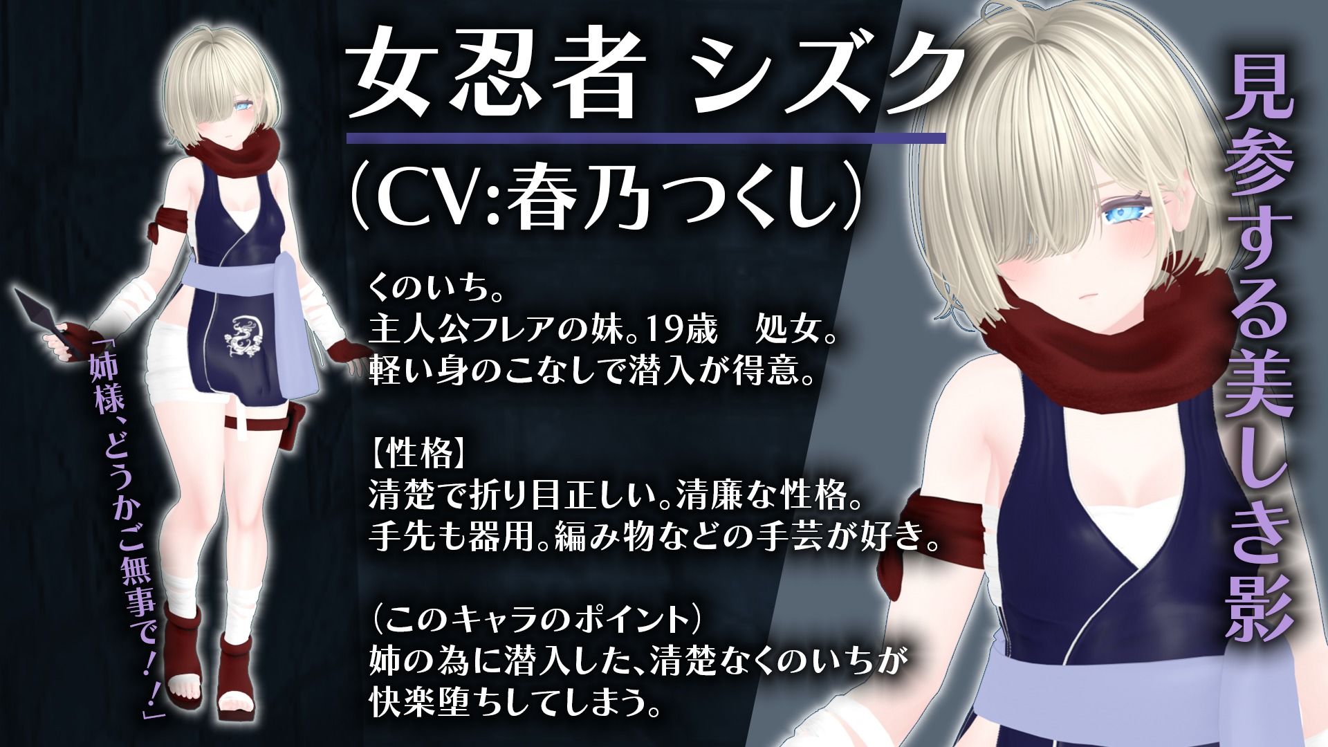 【CV:涼貴涼、篠守ゆきこ、春乃つくし】聖騎士を捕まえた!【魔王軍洗脳シミュレーション】 画像4