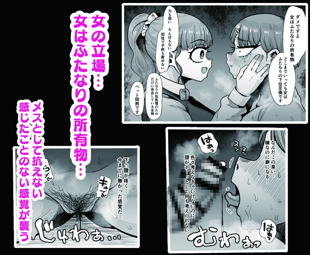ふたなり学園の女がどういう扱いを受けるかあなたは知っていますか? 画像5
