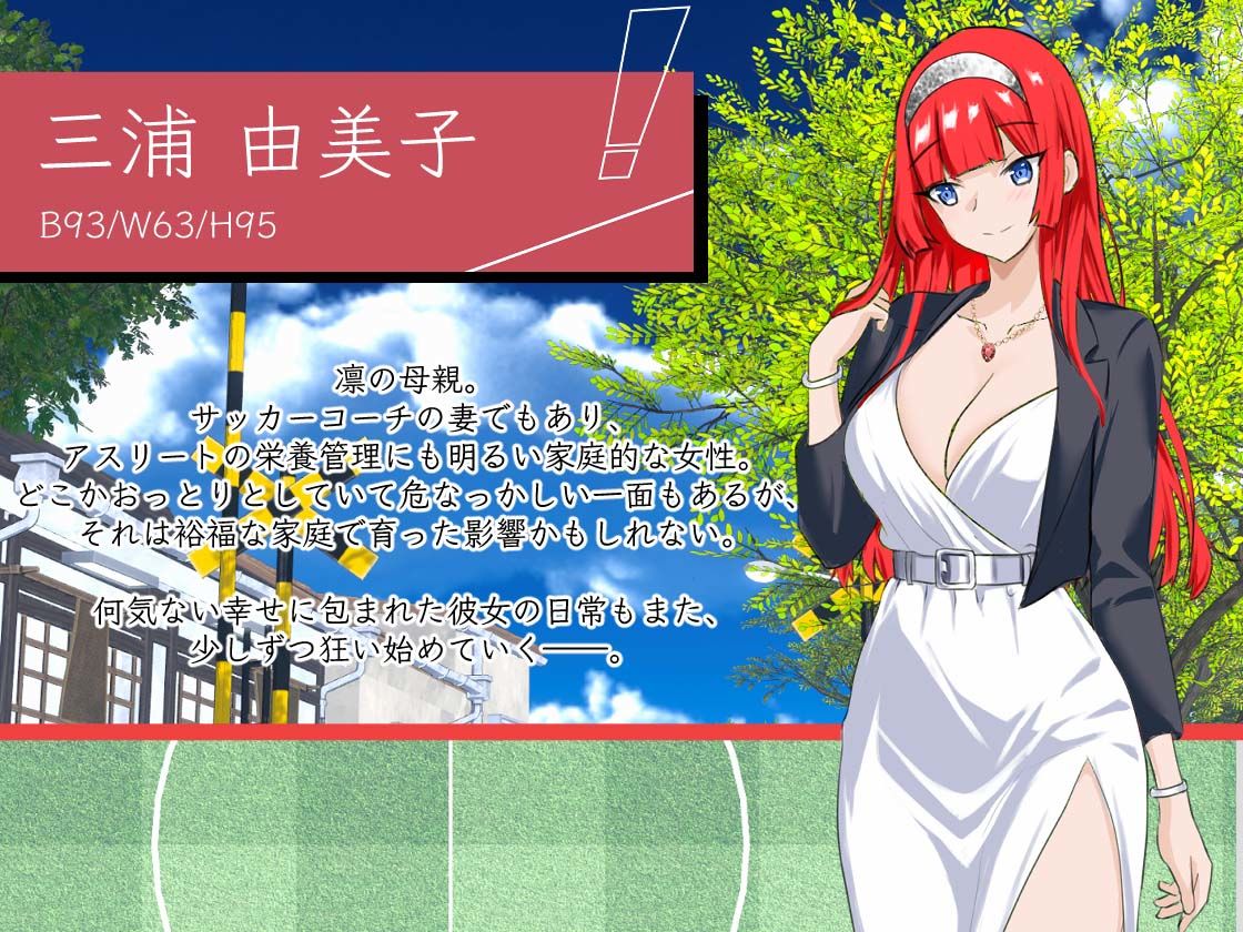 NTRサッカー 画像10